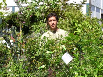 David Parks