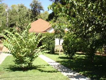 David and Jen House