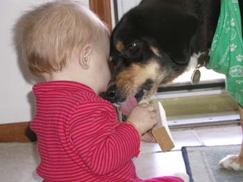 Dog 2