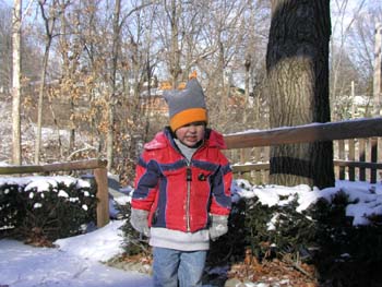 Snow 1