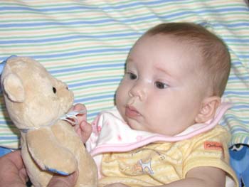 Bear 1