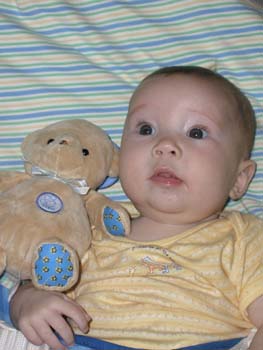 Bear 2