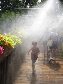 Mist 1