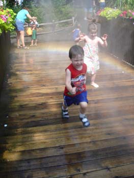 Mist 2