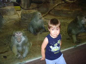 Zoo 1