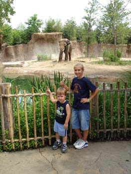 Zoo 3