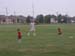 Tball 2