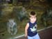 Zoo 1