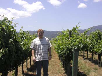 San Jose - Napa 4