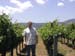 San Jose - Napa 4