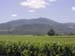 San Jose - Napa 5