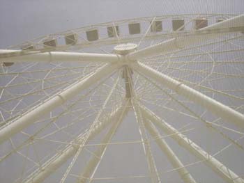 Six Flags 7