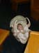 Baptism 3