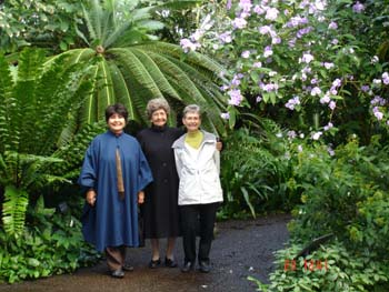 Botantical Garden 2