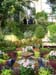 Botantical Garden 1