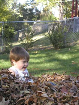 Leaves 2