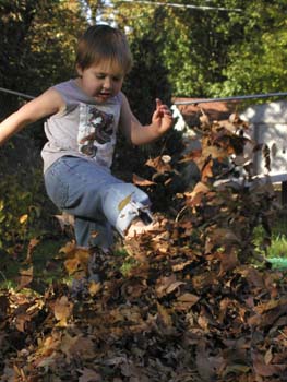 Leaves 4