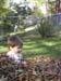 Leaves 2